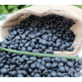 types of big black beans for sale ,6.5mm, black turtkle bean